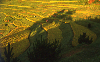 d0025894_021282.jpg