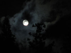 a0047200_7224736.jpg