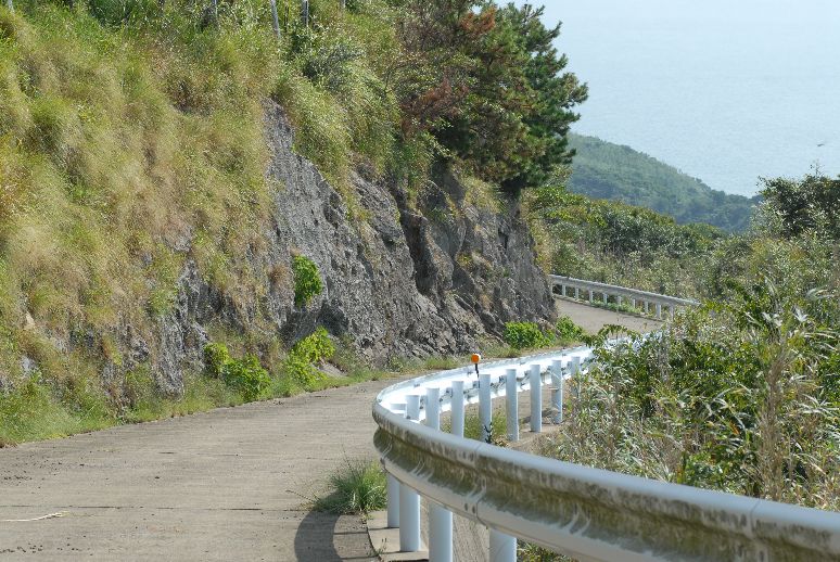 クロツバメシジミ＠馬渡島・佐賀県 アゲイン_b0093800_2050784.jpg