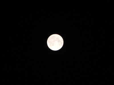 f0080105_0423146.jpg
