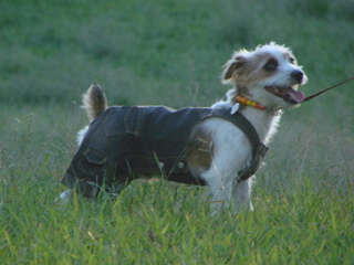 f0080105_13467.jpg