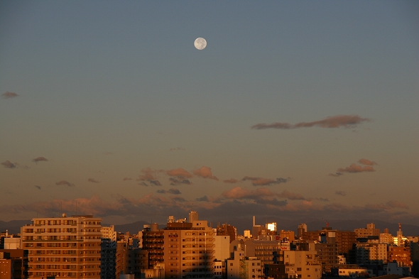a0036412_6343463.jpg