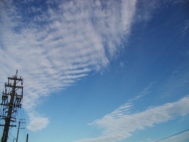 a0030713_2135875.jpg