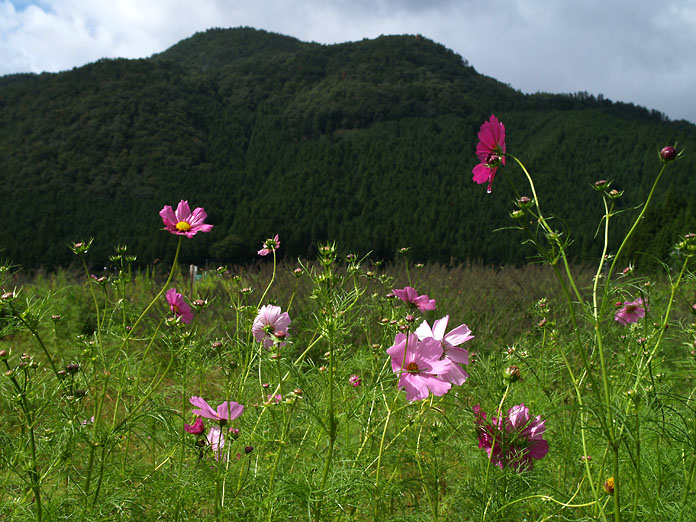 c0039413_1235788.jpg