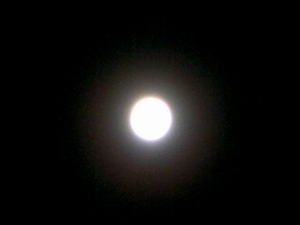 c0034615_14204865.jpg