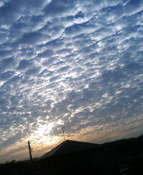 e0057318_16355972.jpg