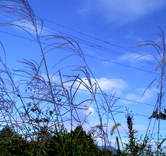 封印_b0093221_19395031.jpg