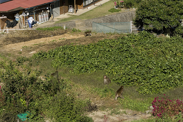 f0077521_2040524.jpg