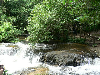 b0000033_52392.jpg