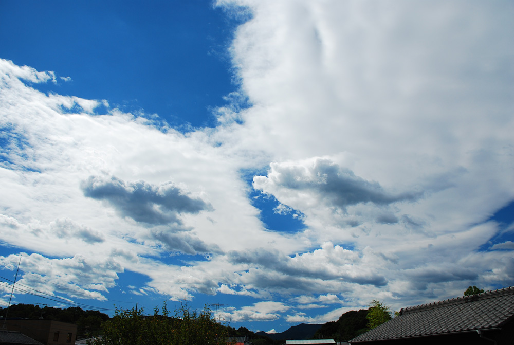 昨日の空......存在感のある雲が印象的でした。_d0069838_1028356.jpg