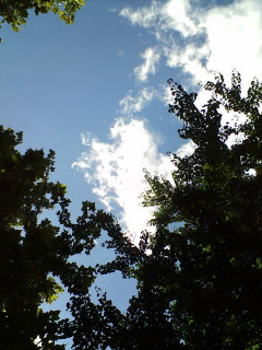 b0046140_22583750.jpg