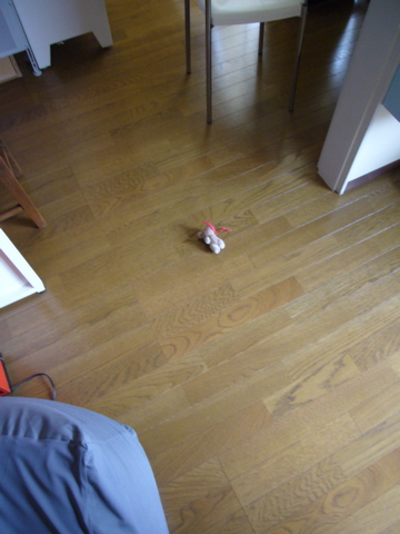 e0058443_11235.jpg
