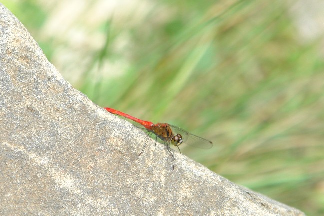 b0088444_2421558.jpg