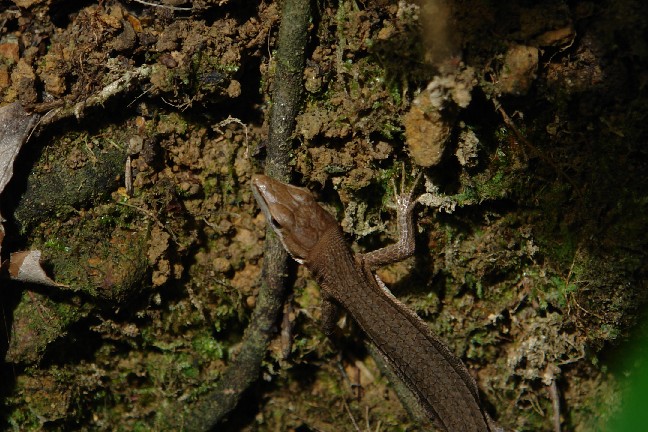 各務野自然遺産の森_b0088444_2464100.jpg