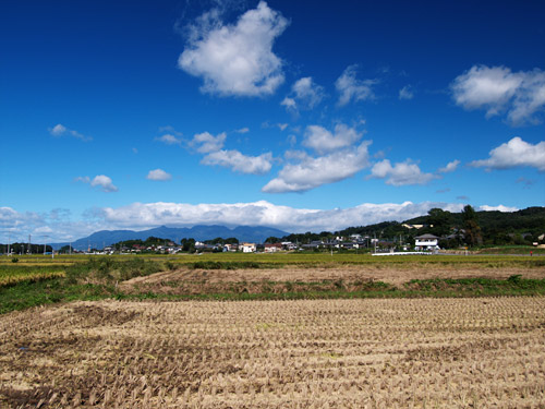 太田市藪塚のかかし祭り_a0003746_15521834.jpg