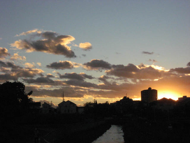 草むらマニア _b0097747_231356.jpg