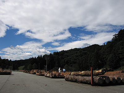 東京の山と木を見に行く　バス見学会　１_b0096552_1421396.jpg