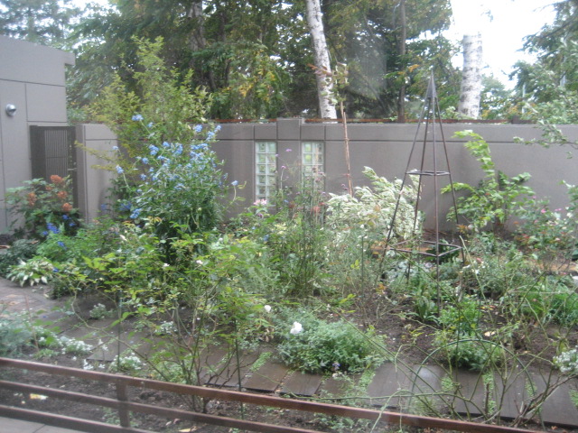a0075455_14483455.jpg