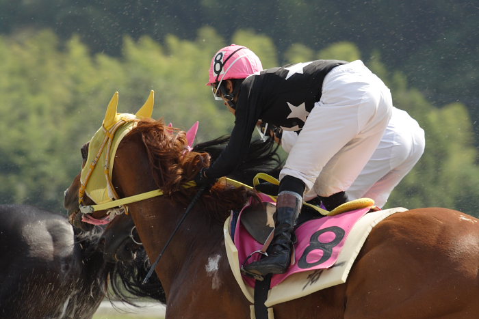 久しぶりの高知競馬休みの日_a0077663_13221339.jpg