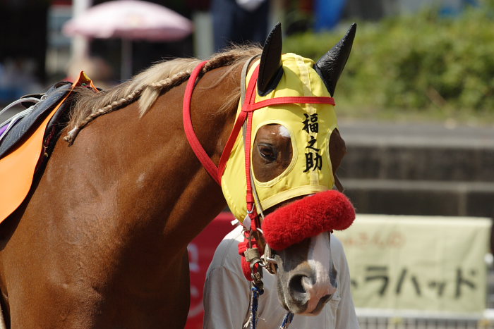 久しぶりの高知競馬休みの日_a0077663_1325769.jpg