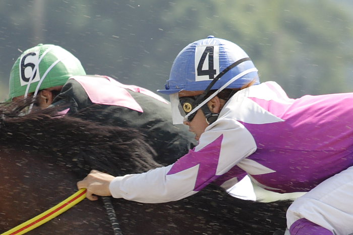 久しぶりの高知競馬休みの日_a0077663_1392467.jpg
