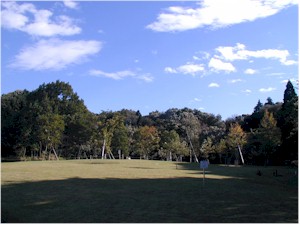 a0070477_8565617.jpg