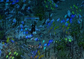 海中でも火が使える(・~・)?_e0088993_1582086.jpg