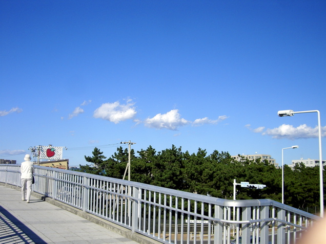 d0010496_18322040.jpg