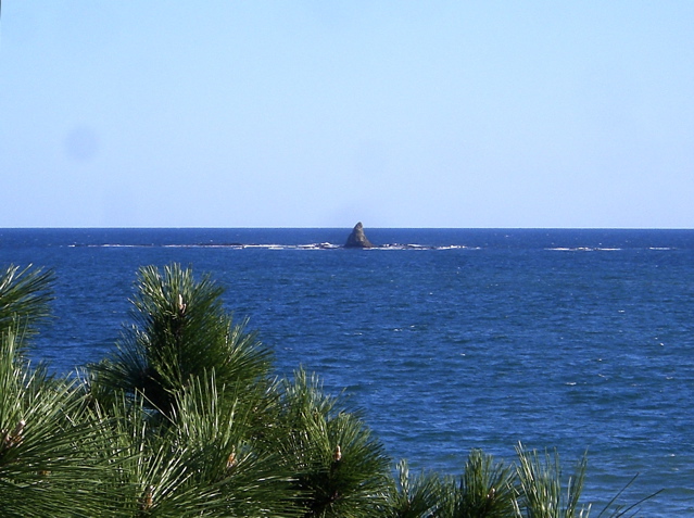 d0010496_1832990.jpg