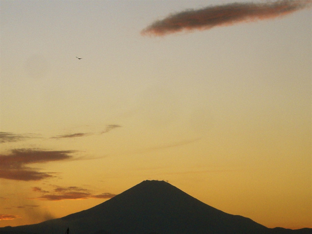 d0010496_18382763.jpg