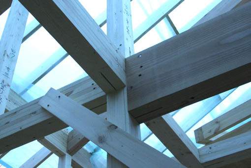 e0054299_176491.jpg