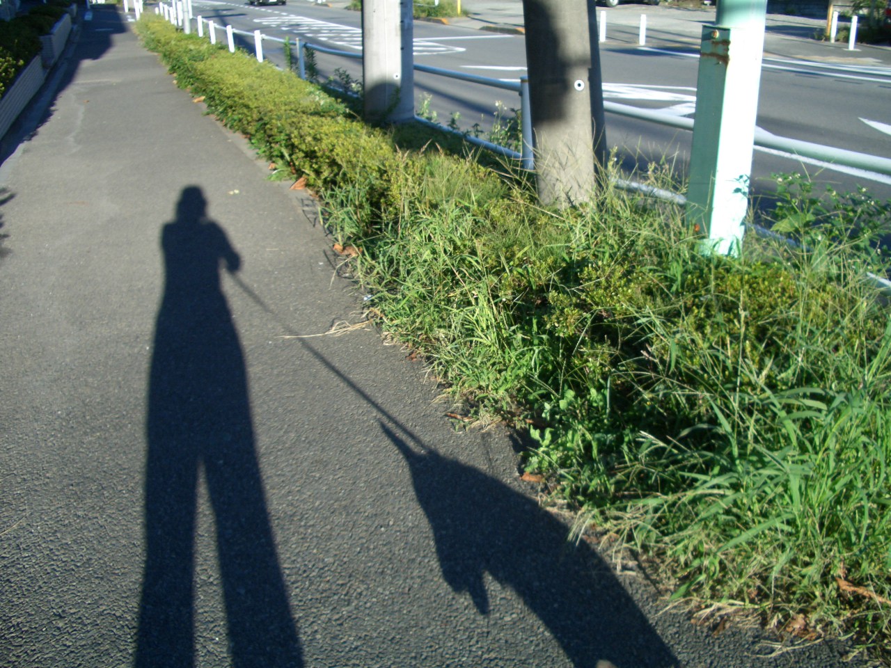 f0101201_156159.jpg