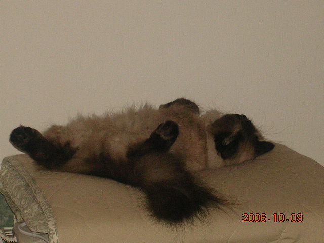 b0054904_2238393.jpg