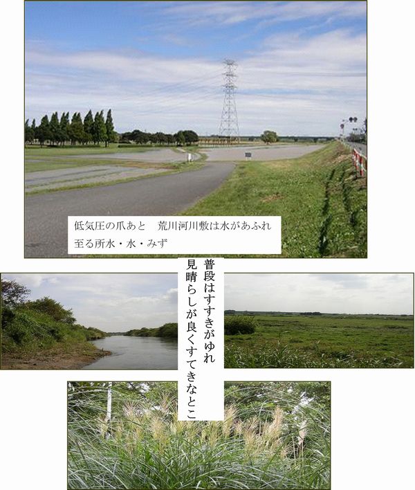 d0028304_19261434.jpg