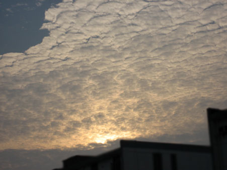 a0074905_18444326.jpg