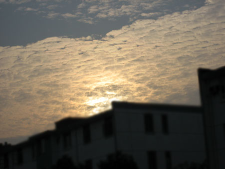a0074905_18445322.jpg