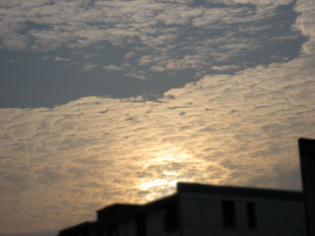 a0074905_184551.jpg