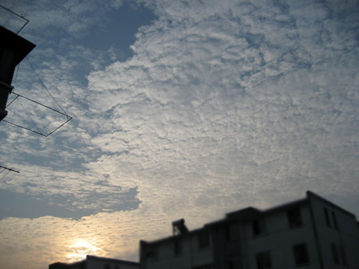 a0074905_18461278.jpg