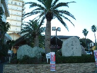 b0071405_22193145.jpg