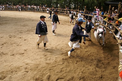 おまんと祭り（愛知県高浜市）_e0069407_1275278.jpg