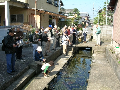e0093407_0565758.jpg