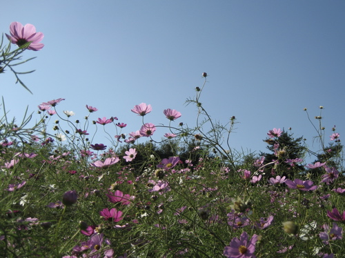 b0046210_23355919.jpg