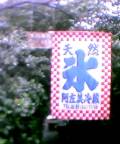 f0056412_031230.jpg
