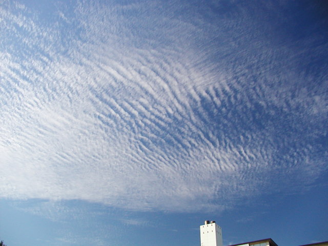 a0030713_20214465.jpg