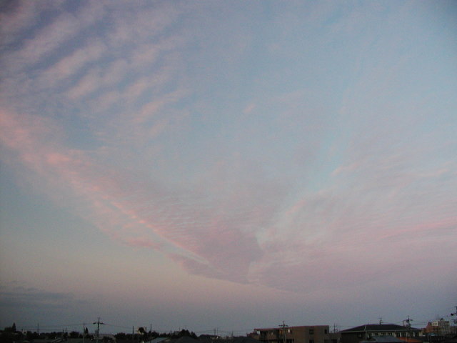 a0030713_20301137.jpg