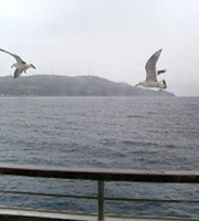 a0031714_16245392.jpg