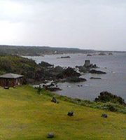 a0031714_16252896.jpg