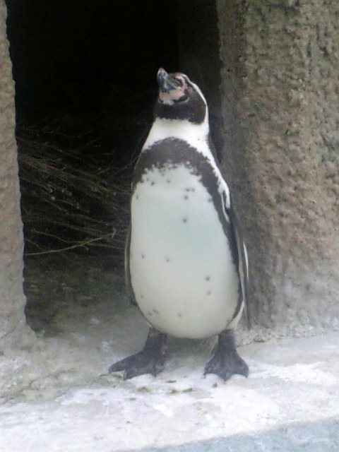 d0071814_0365887.jpg