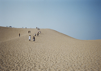 e0070320_3372179.jpg
