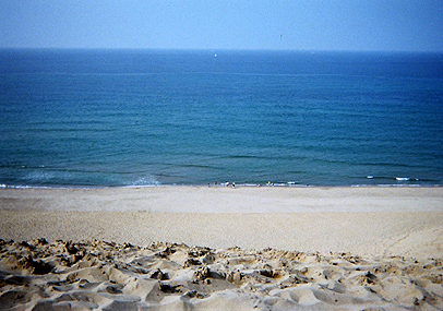 e0070320_338562.jpg